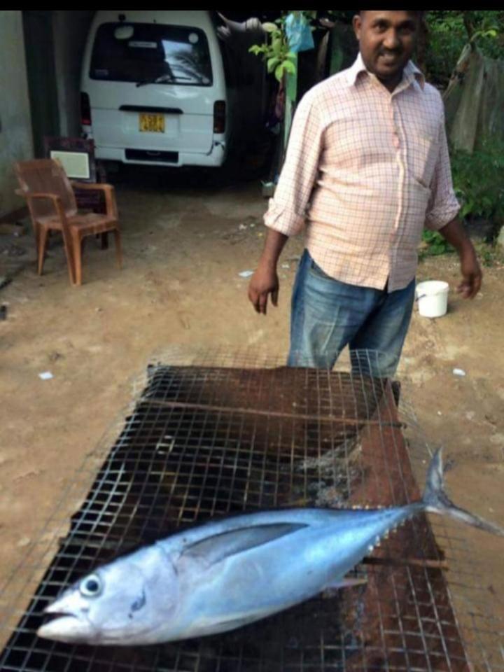 Sandaru Surffing Inn Weligama Exterior photo