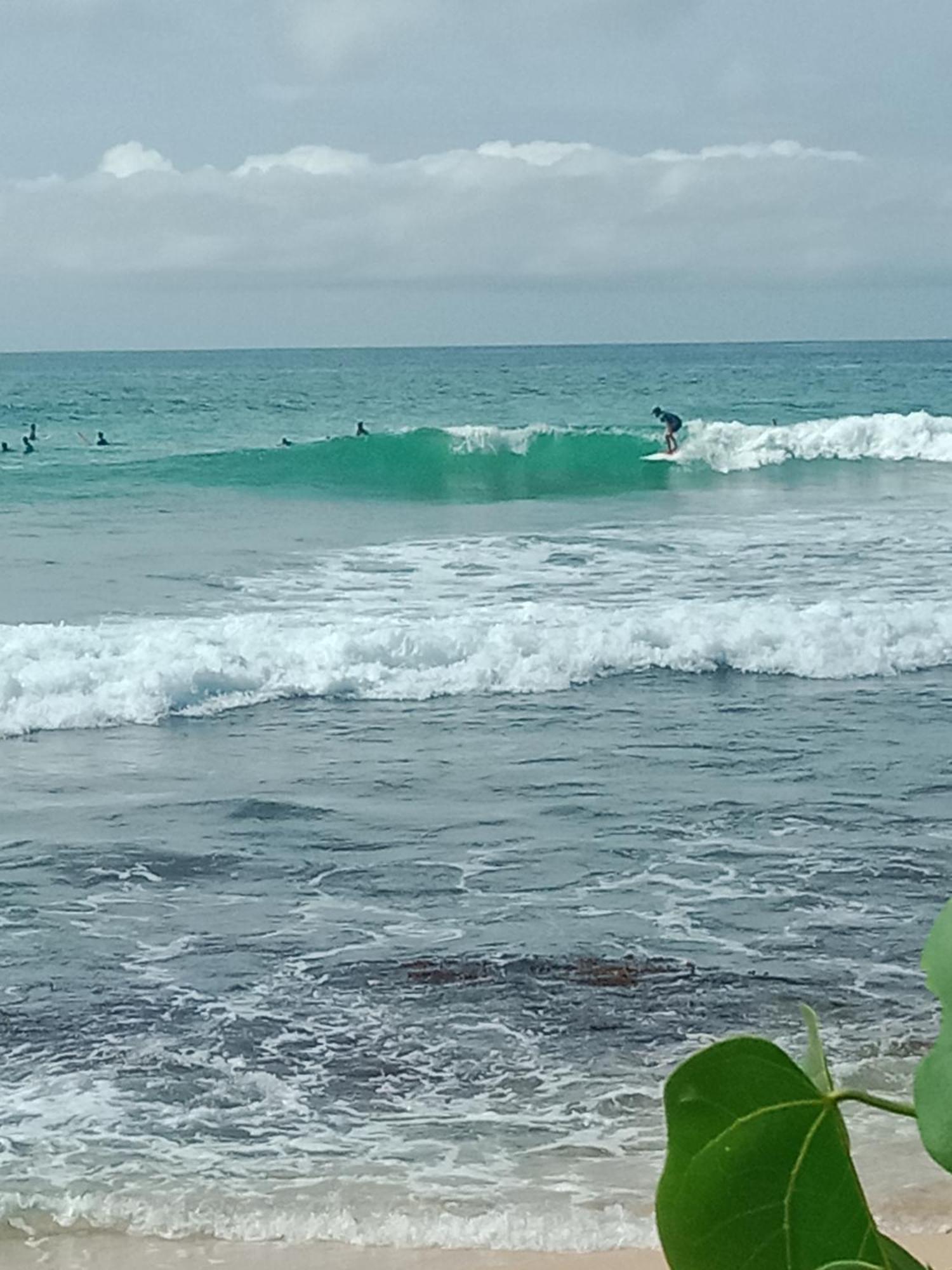 Sandaru Surffing Inn Weligama Exterior photo