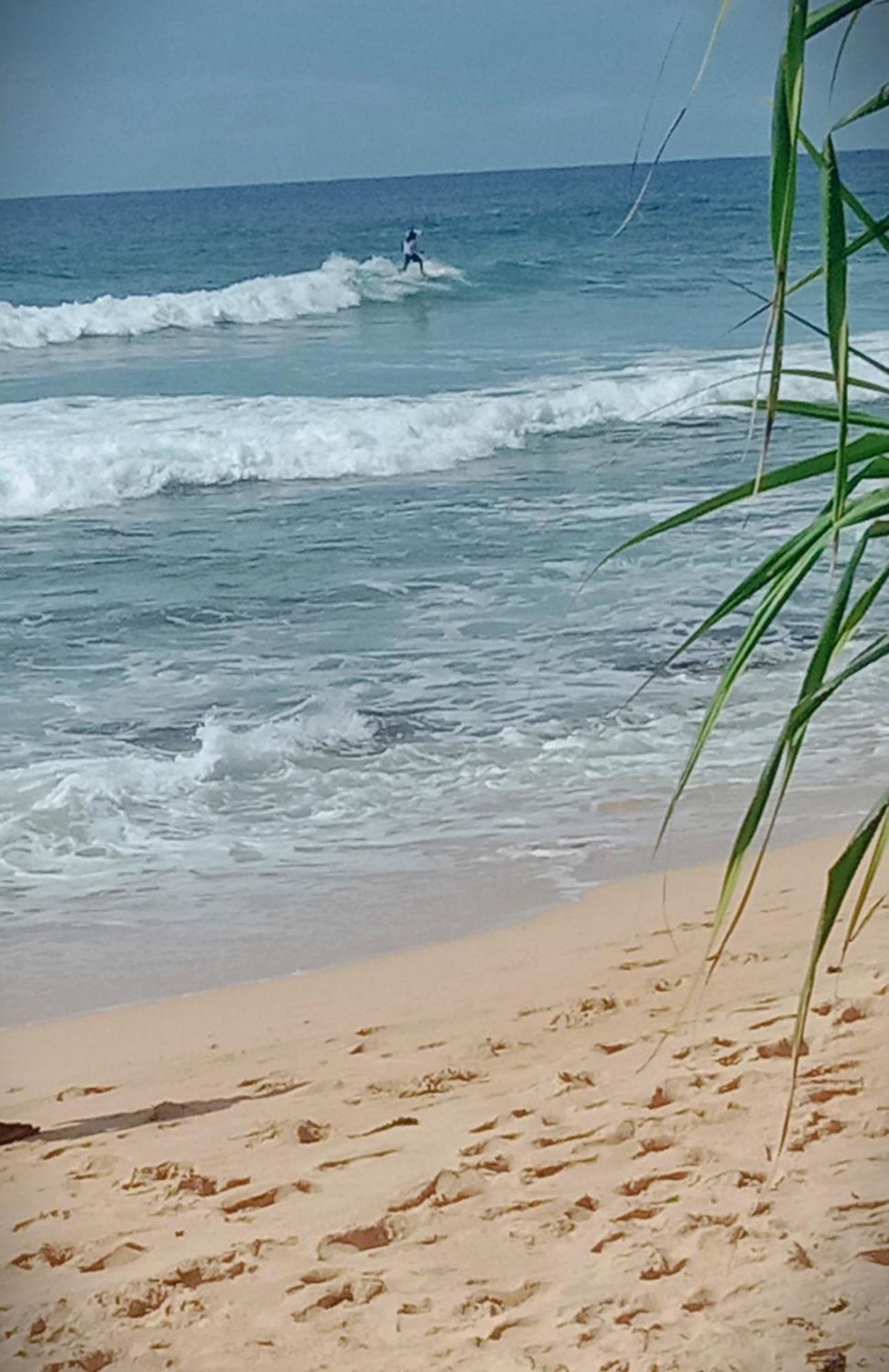 Sandaru Surffing Inn Weligama Exterior photo