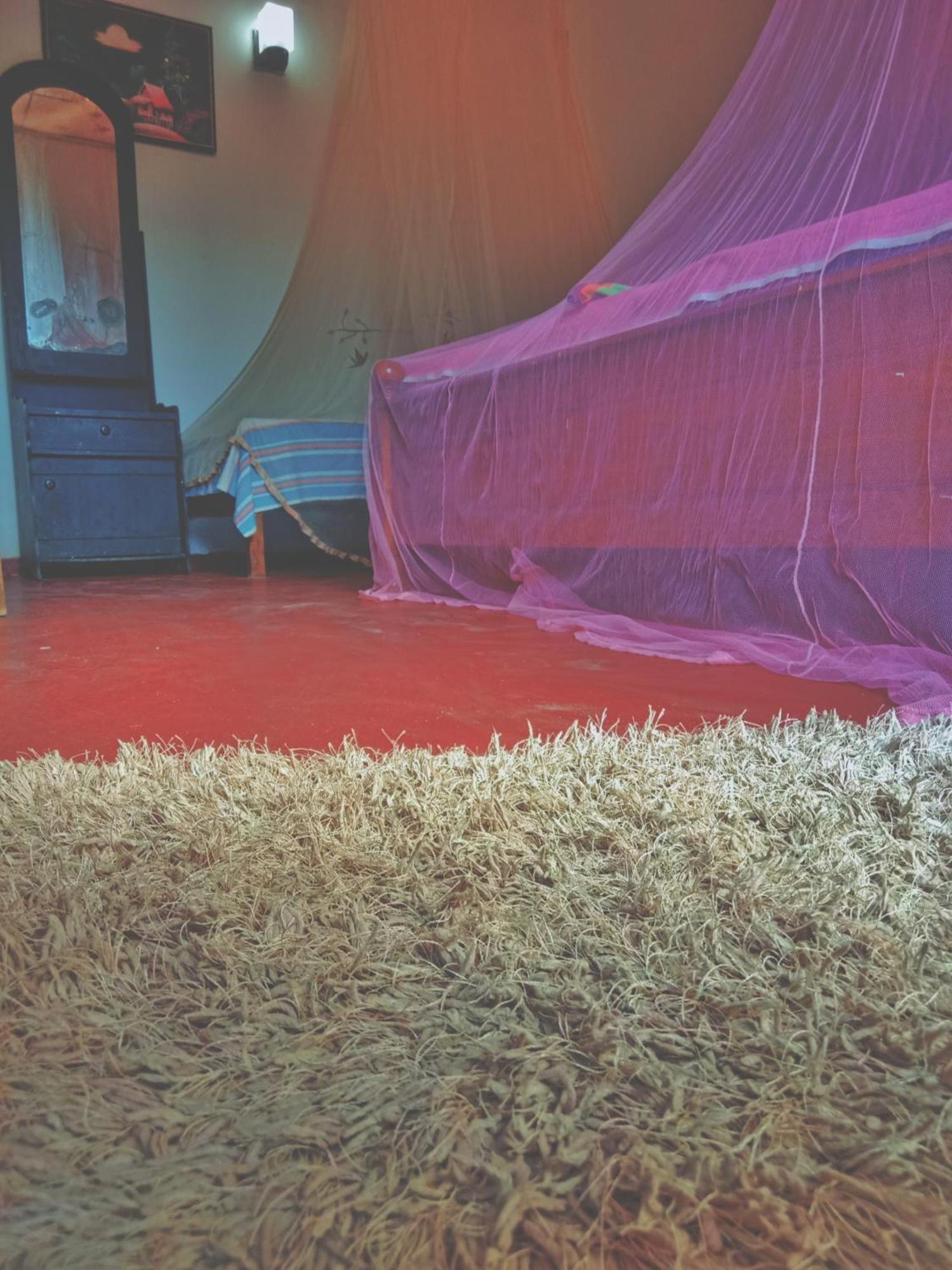 Sandaru Surffing Inn Weligama Room photo